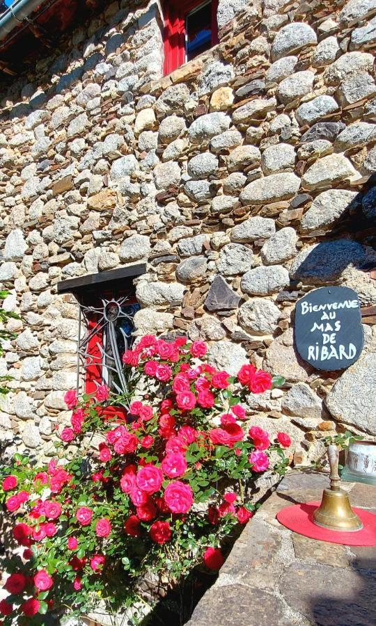 Le Mas De Ribard Bréau-et-Salagosse Zewnętrze zdjęcie